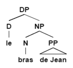 de Jean is a postnominal possessor, as it occurs after the noun. This sentence adapted from Gueron 2007: 590 (1a) Postnominal DP structure - French.png