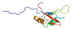 Ақуыз SFRS10 PDB 2cqc.png