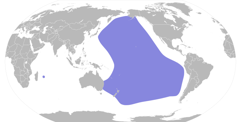 File:Pterodroma nigripennis map.svg