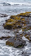 Detail of black lava rock at the Punaluu black sand beach.