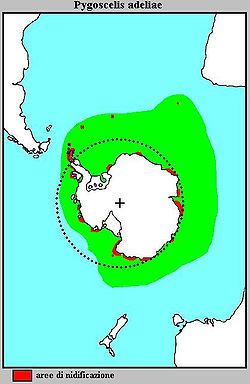 Pygoscelis adeliae Distribuzione.jpg