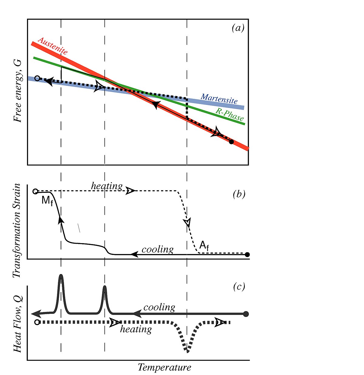 Figure 4: Free energy， strain， and calorimetry curves typical of the asymmetric Austenite-R-Martensite transformation， in which R-phase is found only upon cooling.