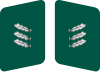 RF-Hilfsforester collar.svg 