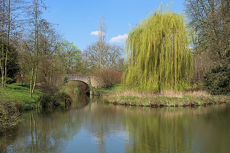 Spring at Raffelbergpark in Mülheim