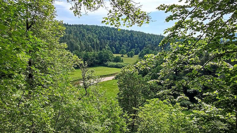 File:Rakov Skocjan, view of the valley.jpg