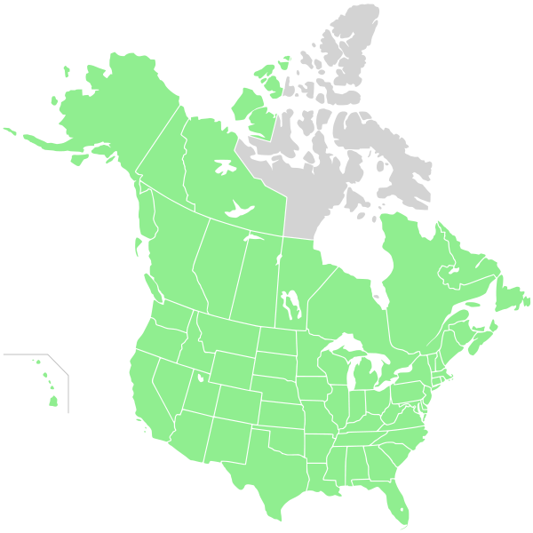 Fichier:Range map-Senecio vulgaris North America.svg