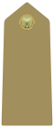 IT-Army-OR1.svg