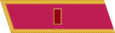 File:Red Army 1935 collar small kapitan.svg