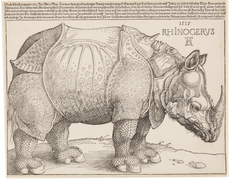 File:Rhinocerus (Das Rhinozeros) (SM 31588d).png