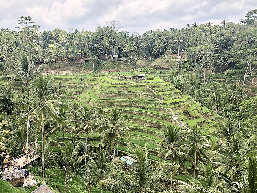 Rice terraces in Tagallalang