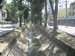 Rio Trapicheiros.JPG