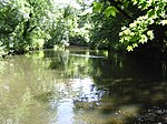 River Crane, London