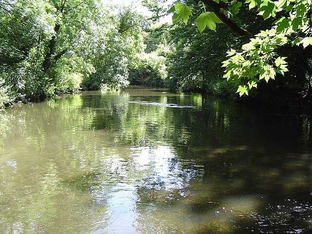 River Crane in Crane Park, Twickenham below the nature reserve and powder mills site