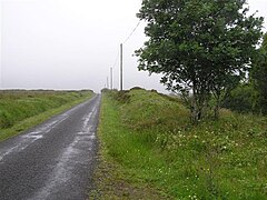 Road at Mallybreen - geograph.org.uk - 884038.jpg