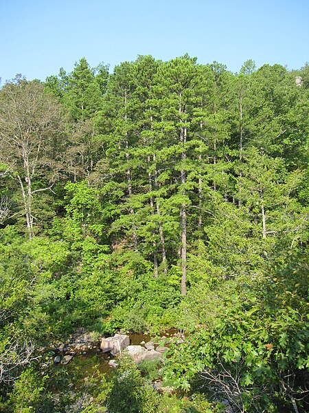 File:Rocky Creek near Mill Mountain.jpg