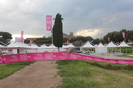 Roma Race for the Cure in circus maximus