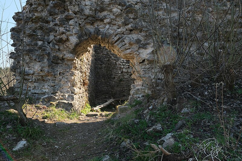 File:Ruine Dellingen (Bräunlingen)-3352.jpg