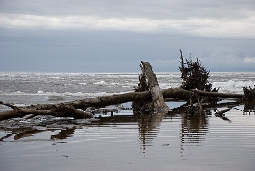 Рыбинское видео. Рыбинское водохранилище. Ольхово Рыбинское водохранилище. Рыбинское водохранилище Любец. Рыбинск Рыбинское море.