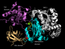 SAE in conjugation with Mg and ATP SAE in conjugation with Mg and ATP.png