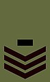 Probationary Sergeant