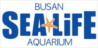 Thumbnail for Sea Life Busan Aquarium