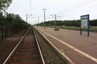 Jak dojechać komunikacją do Sadowne Węgrowskie - O miejscu docelowym