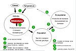 Vignette pour Théorie métabolique de l'écologie