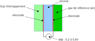 Mesure d'O2 avec sonde Lambda et carte de conversion - Ascon Tecnologic