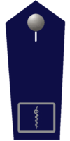 Feuerwehrarzt/-ärztin