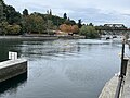 Ballard Locks