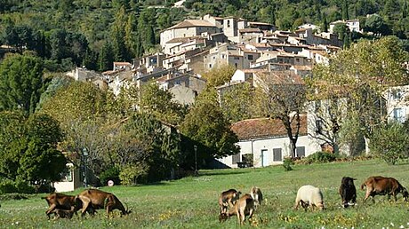 File:Seillans village.jpg