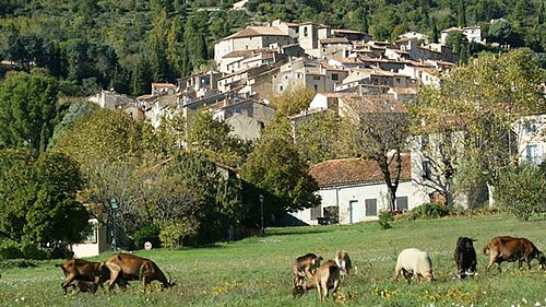 Rideau métallique Seillans (83440)