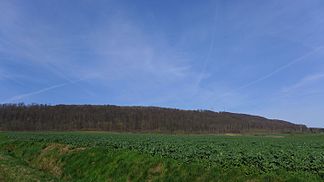 View to the Selter near Erzhausen