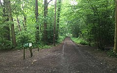 Selwyns Wood Wood Park (geografiya 5786442) .jpg