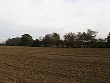 Site of Wet Home Wood