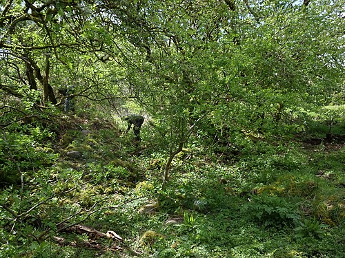 Site of Doggartland Flax Mill