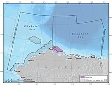 Map of Smith Bay in the Beaufort Sea Smith Bay map.jpg