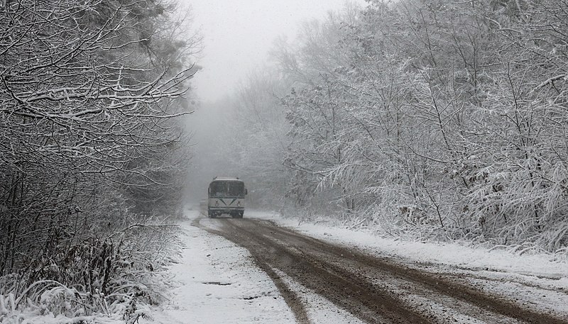 800px-Snowy_road_Sosonka_2017_G1.jpg (800×457)