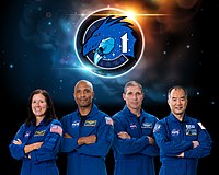 SpaceX Crew-1 Commercial Crew Portrait.jpg