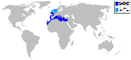 Sparus aurata — карта поширення