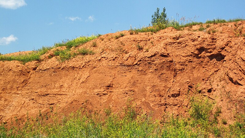 File:Spearfish Formation redbeds (Permian and-or Triassic; construction cut in Sundance, Wyoming, USA) 3 (19238491420).jpg