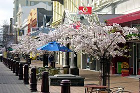 Spring in Esk Street, Invercargill