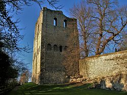 St Leonard Kulesi, West Malling.jpg