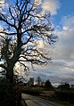 St Mary's Church, Norton Lane, Cuckney (31).jpg