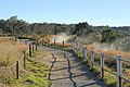 * Nomination Steaming Bluff along Crater Rim Trail in Hawai'i Volcanoes National Park --Trougnouf 23:57, 12 February 2023 (UTC) * Promotion  Support Good quality. --XRay 04:58, 13 February 2023 (UTC)