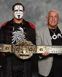 Sting and Ric Flair pose with a replica of the Big Gold Belt Sting flair big gold.jpg
