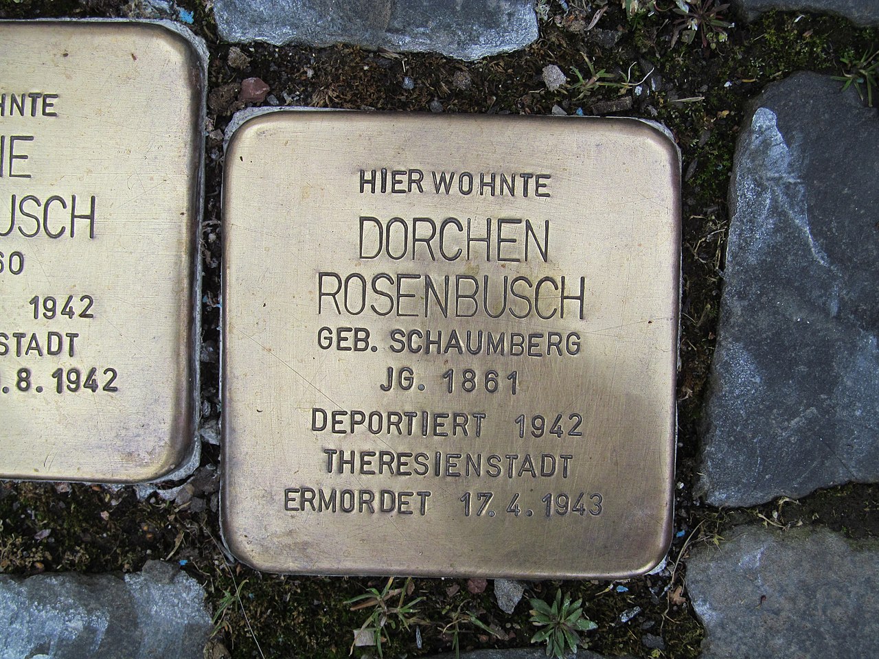 Stolperstein Dorchen Rosenbusch, 1, Marktstraße 6, Borken, Schwalm-Eder-Kreis.jpg