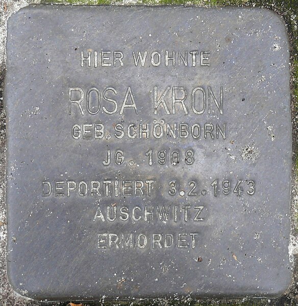 File:Stolperstein Kronprinzendamm 11 Rosa Kron.JPG