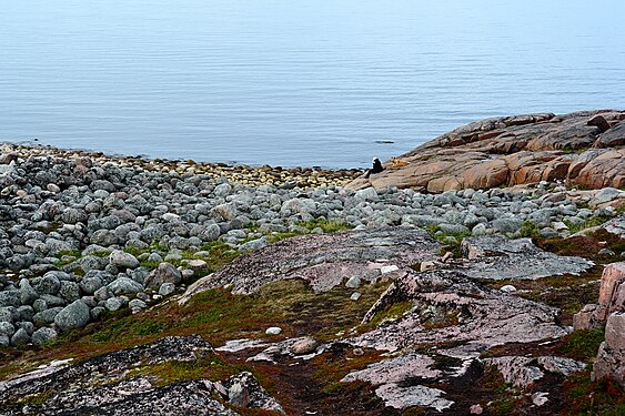 Stone beach near Teriberka, coast of Barentz Sea.