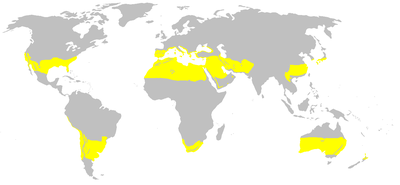 Clima Subtropical: Clasificaciones climáticas, Tipos, Vegetación